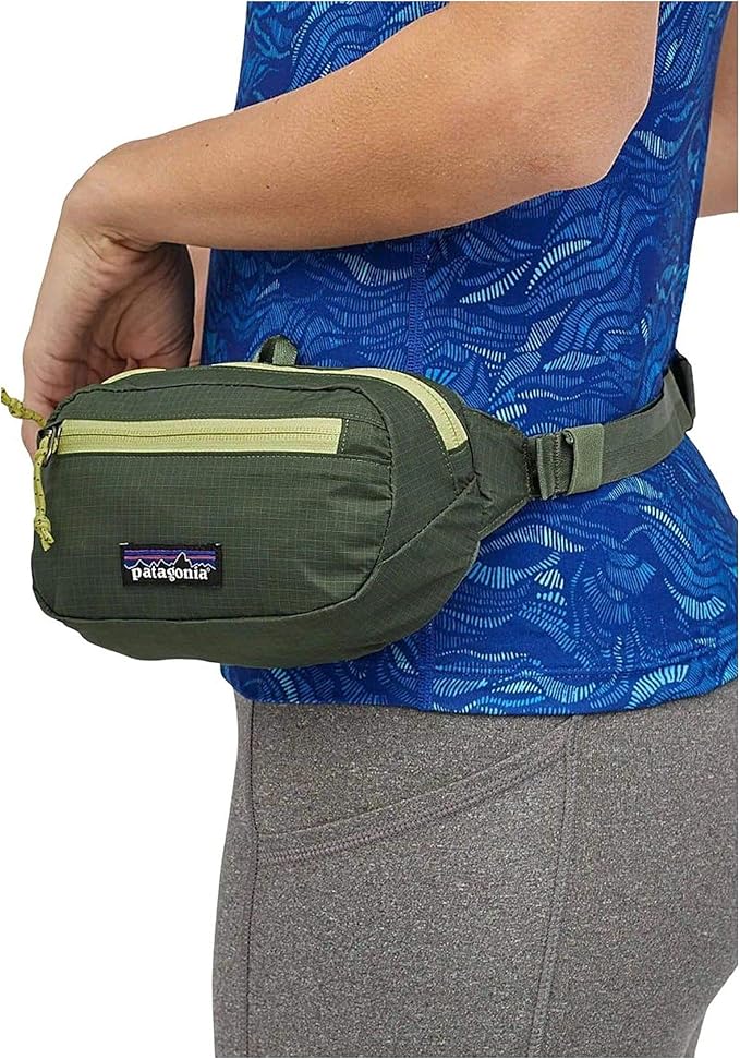 patagonia fanny pack amazon