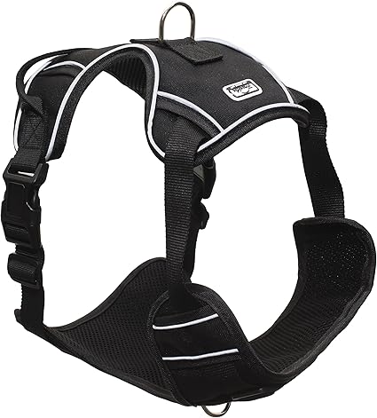 Amazon Com Franklin Pet Supply Reflective Dog Harness Dog