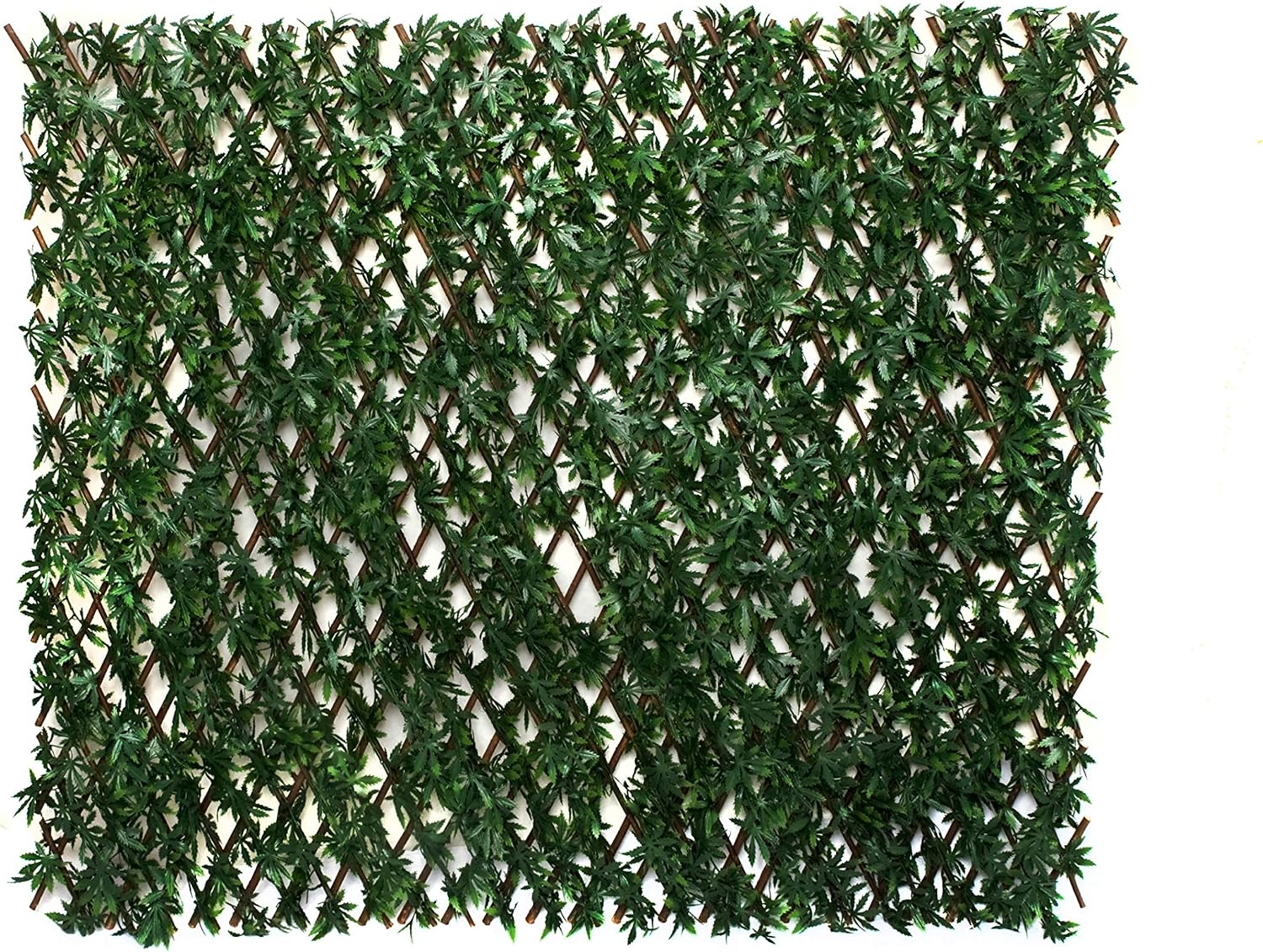 GreenBrokers Trellis Artificial Expanding Willow Fence (1m x 2m) -UV Stable, Leaf
