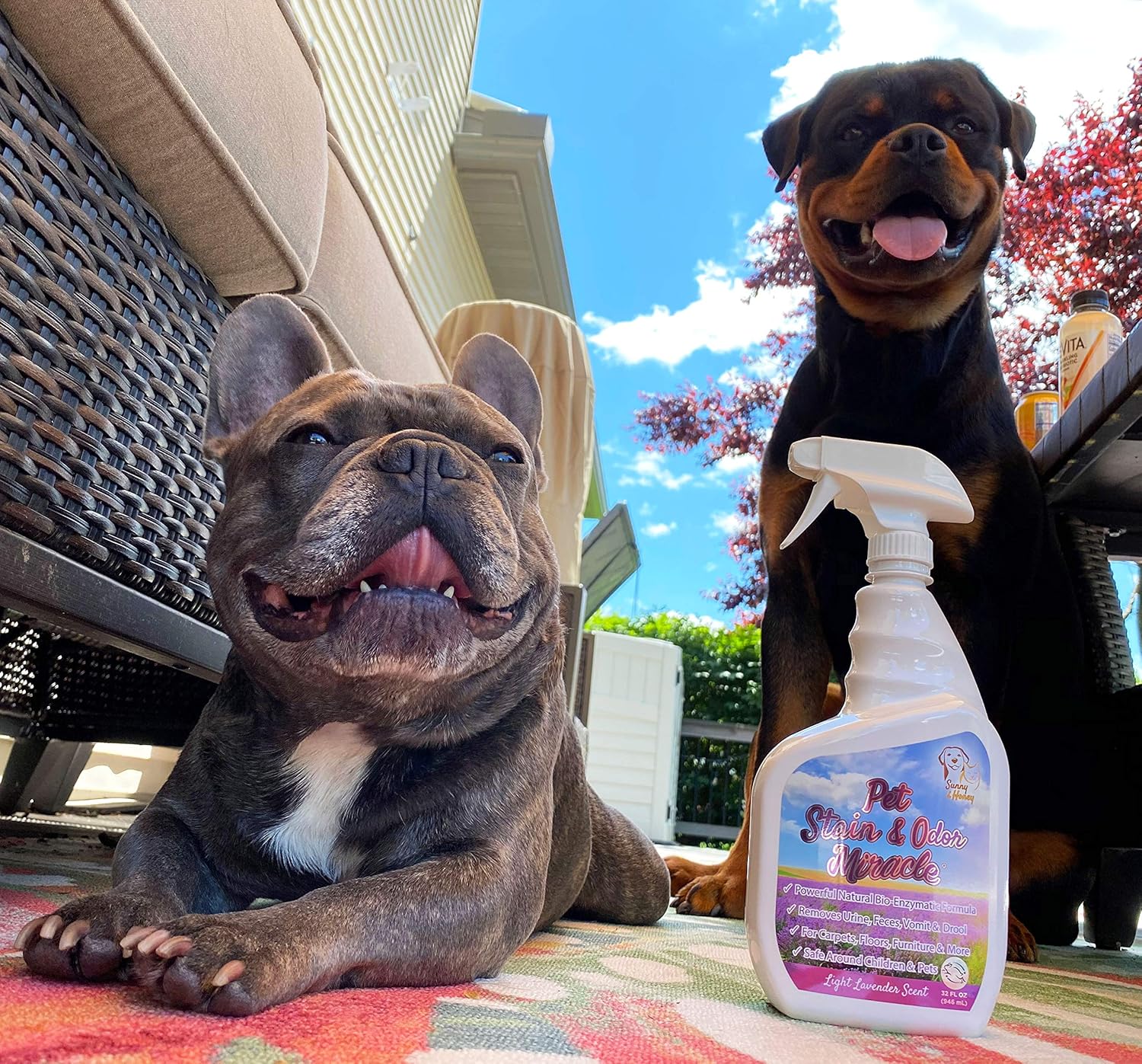 sunny & honey pet stain and odor remover