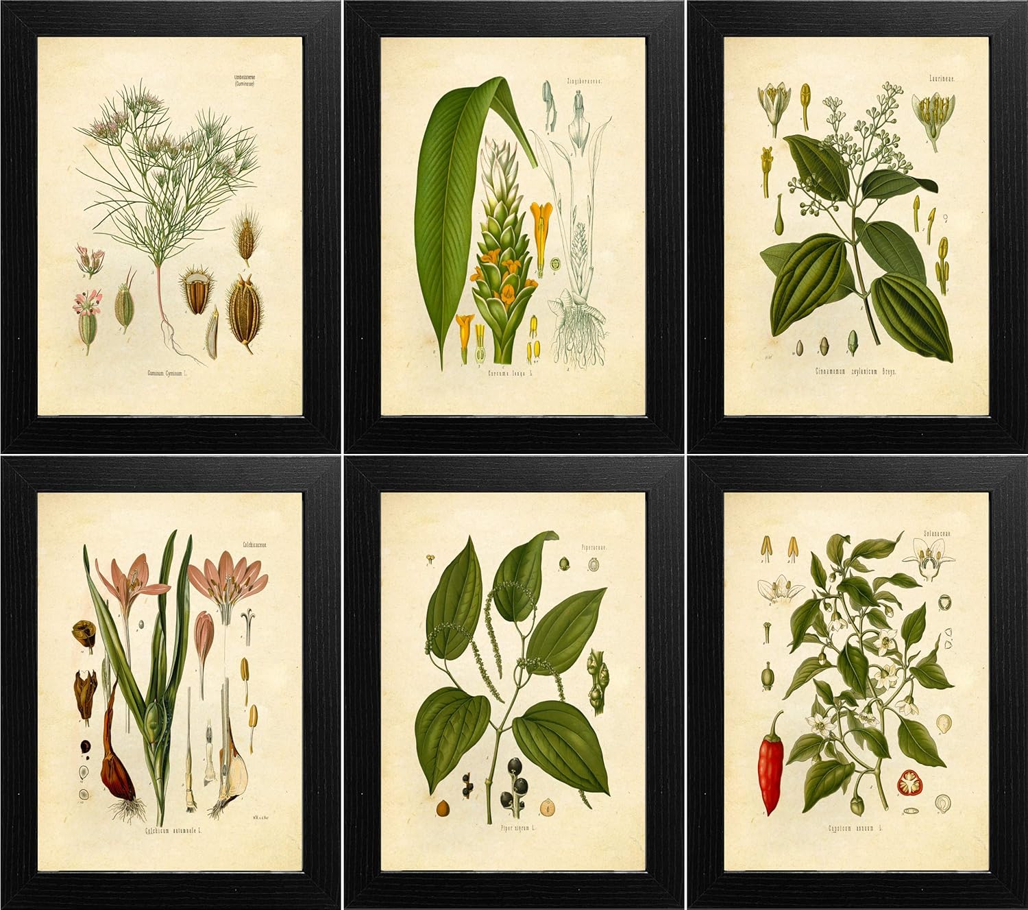 Best Vintage Kitchen Art