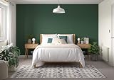 Dulux Simply Refresh Everglade Forest Matt Emulsion Paint 1.25L view 6