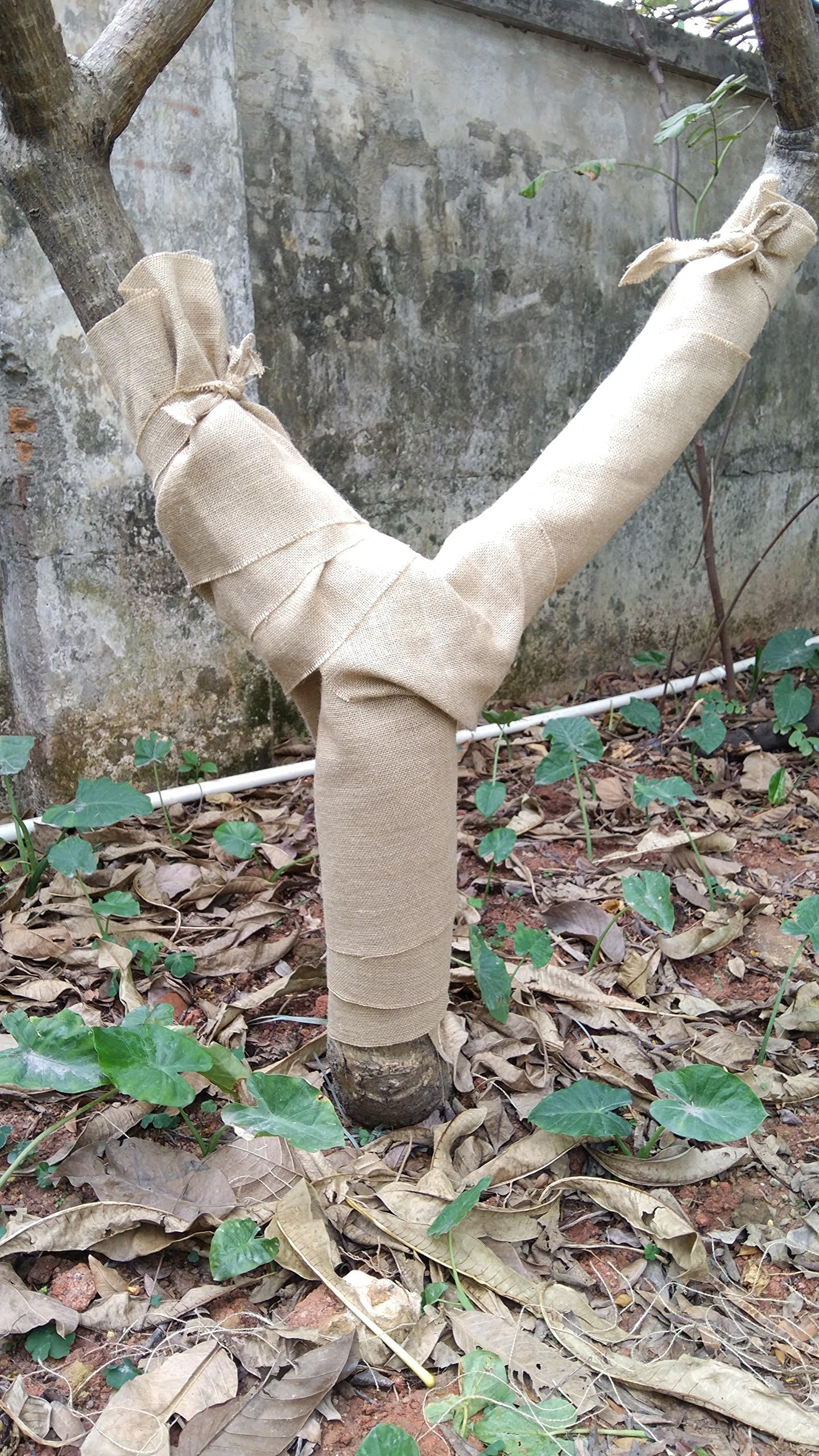 HELF LIFE Burlap Garden Fabric (12 Inch x 30 Feet), Tree Wrap, Eco-Friendly, Natural, 100% Biodegradable, Tree Protection, Plant Protection, Tree Protectors From Deer