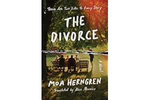 The Divorce: A Tense Drama Exploring Marriage and Betrayal from Dual Perspectives