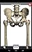 Anatomy Quiz Lite