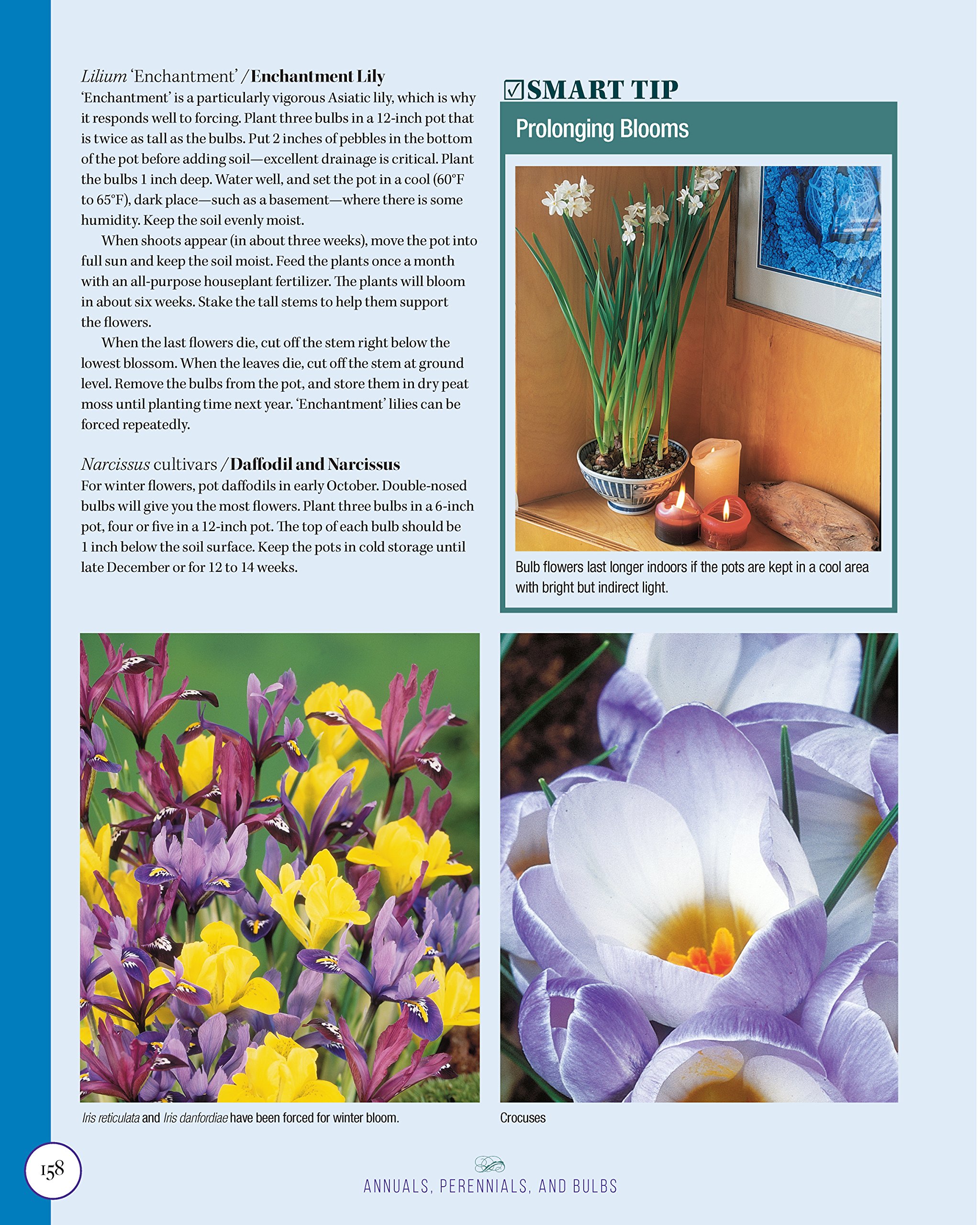 Annuals, Perennials, and Bulbs: 377 Flower Varieties for a Vibrant Garden (Creative Homeowner) 600 Photos and Over 40 Step-by-Step Sequences to Help Design, Improve, & Maintain Your Landscape