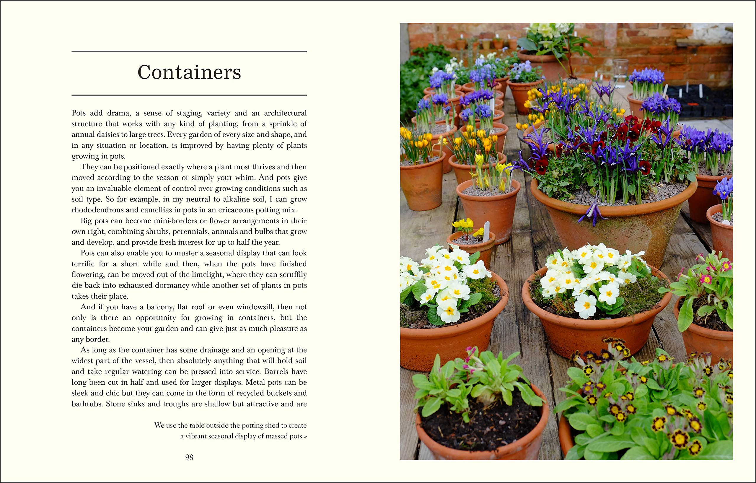 Down to Earth: Gardening Wisdom