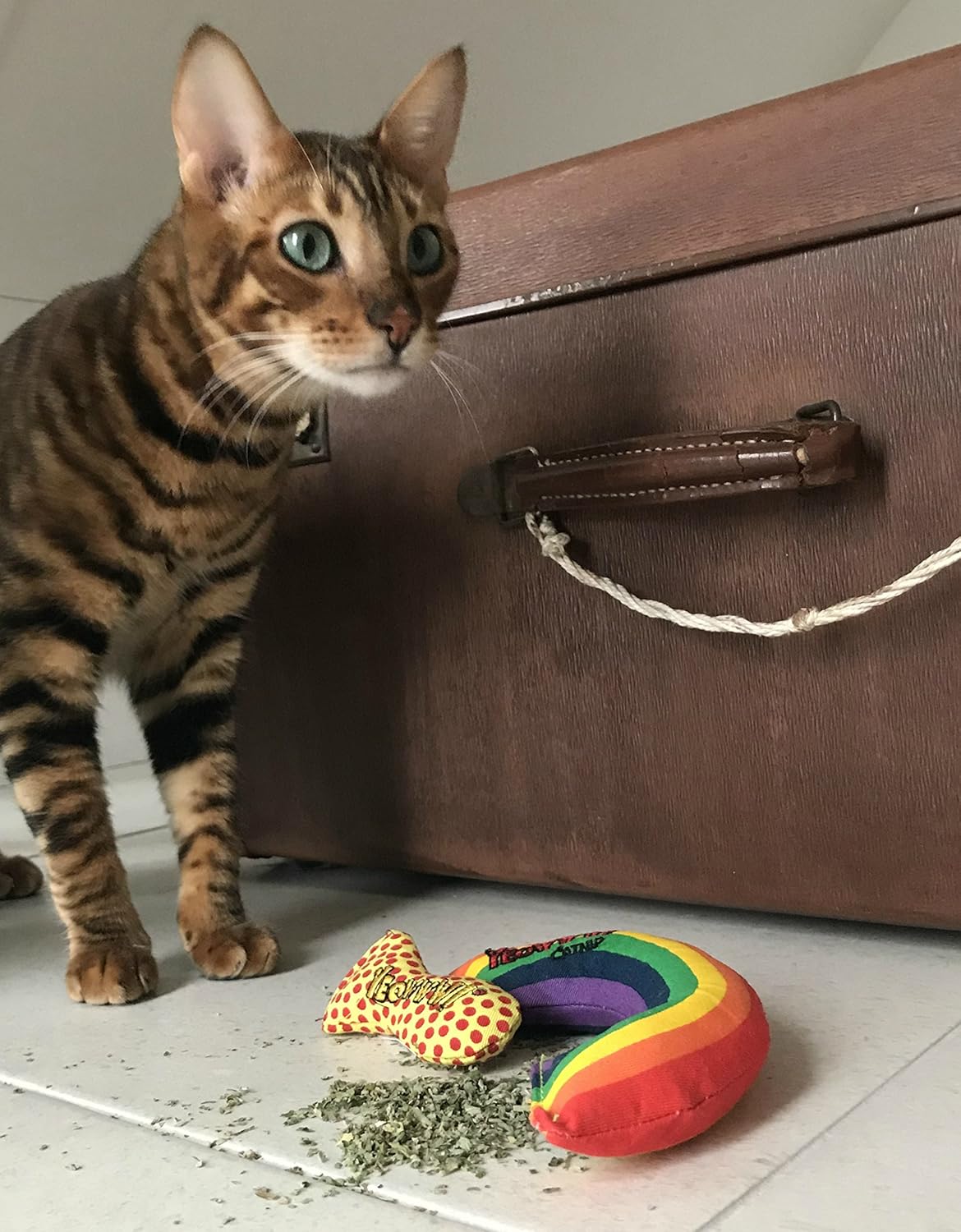 YEOWWW Very Strong Organic Catnip Cat Toys Giochi al catnip Prodotti