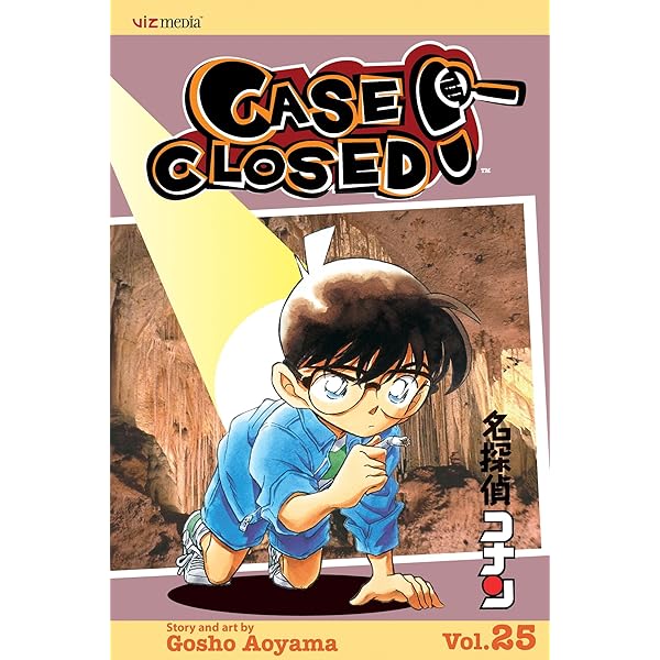 Case Closed, Vol. 24: Aoyama, Gosho: 9781421516769: Amazon.com: Books