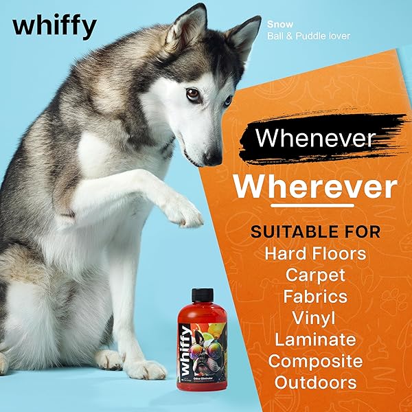 WHIFFY CITRUS PET ODOR ELIMINATOR FOR HOME, CARPETS, FURNITURE, AND MORE – USE ON DOG/CAT PEE SMELLS 8OZ CONCENTRATE BOTTLE