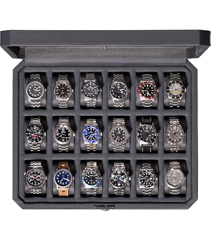 Amazon.com: ROTHWELL 24 Slot Watch Case with Lock – Luxury Watch