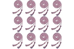 Cagemoga 12 Pieces Graduation Honor Cord Braided Honor Cord with Tassel Graduation Decoration Braided Cords for Graduation Students Grad Days and Graduates Photography (Red Blue with White)
