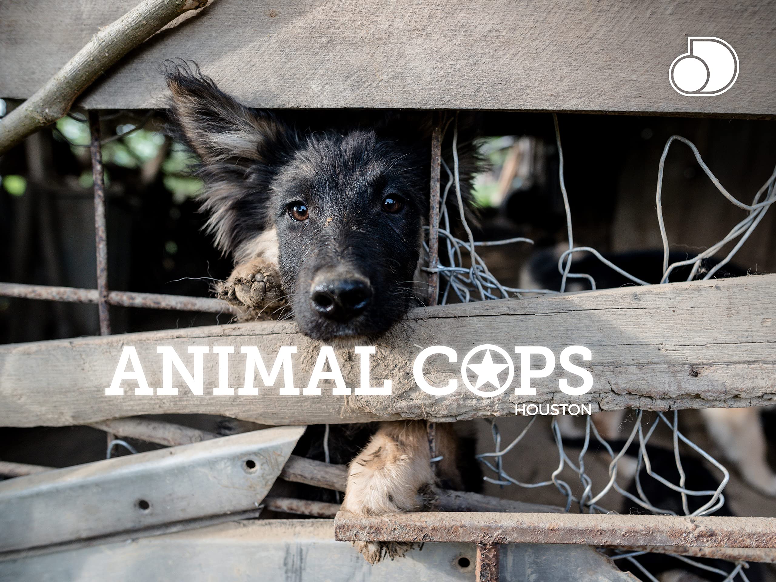 Watch Animal Cops Houston Season 6 Prime Video