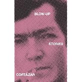 Blow-Up: And Other Stories