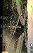 UAV Stealth Fighter 3D