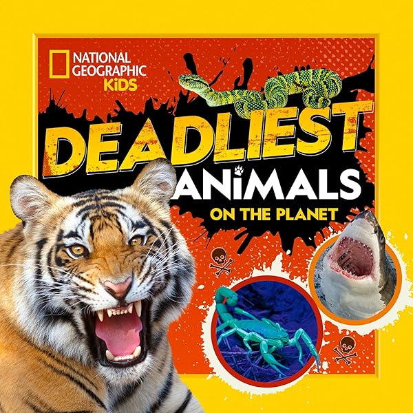 The Hammerhead Shark (Shark Fact Files): Green, Sara