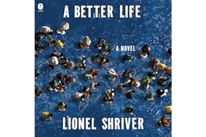 A Better Life: A Novel