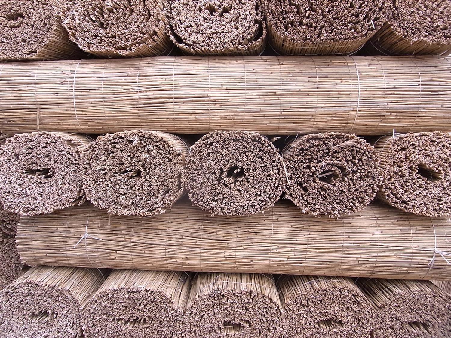 nur 3, BIHL Schilfmatte Sichtschutz Schilfrohrmatte Windschutz