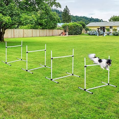 Amazon Com Heavens Tvcz Agility Training Equipment Dog Jump Pet