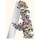 Ambergris: City of Saints and Madmen; Shriek: An Afterword; Finch