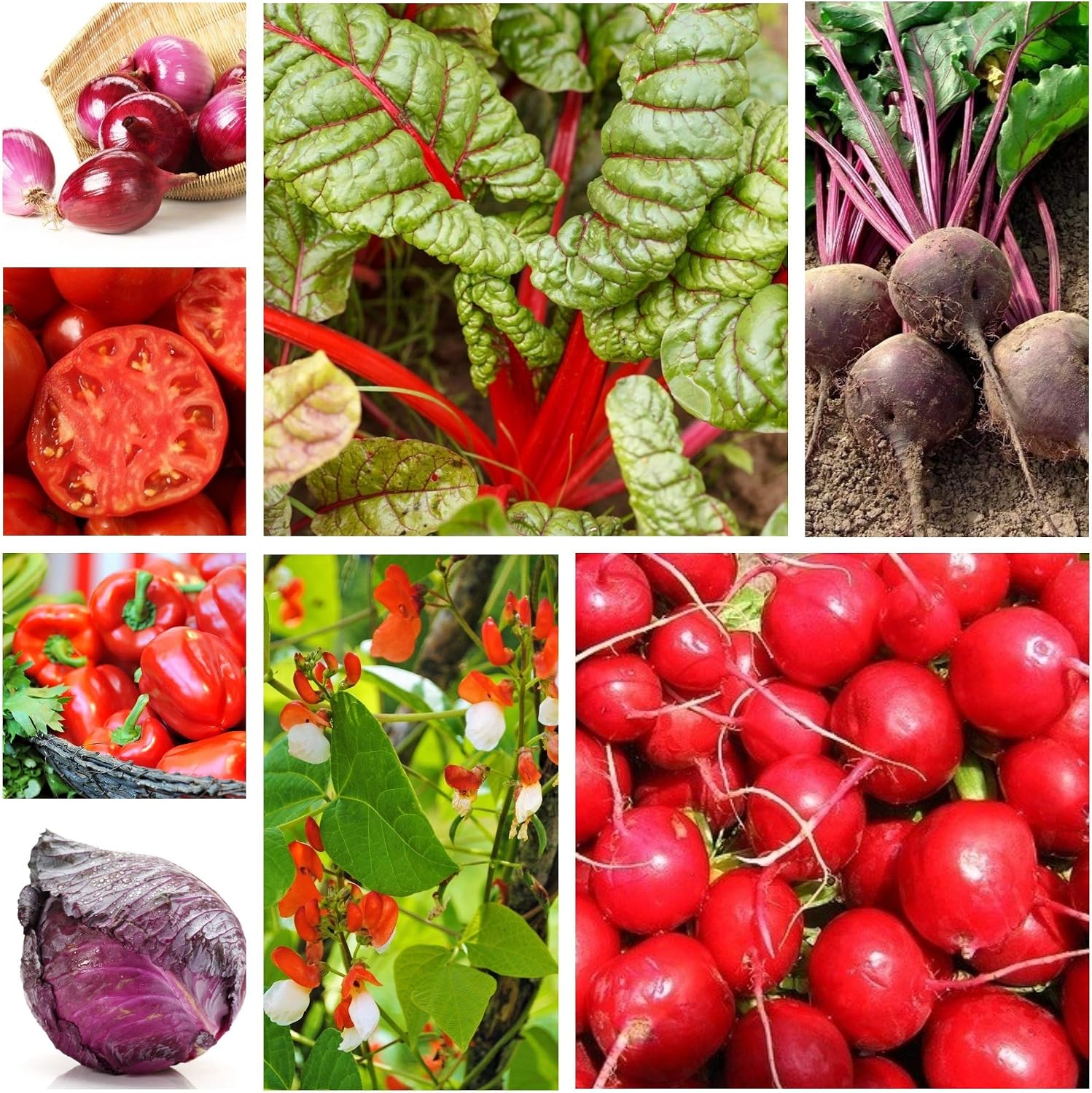 Hortalizas rojas - semillas de 8 especies: Amazon.es: Jardín