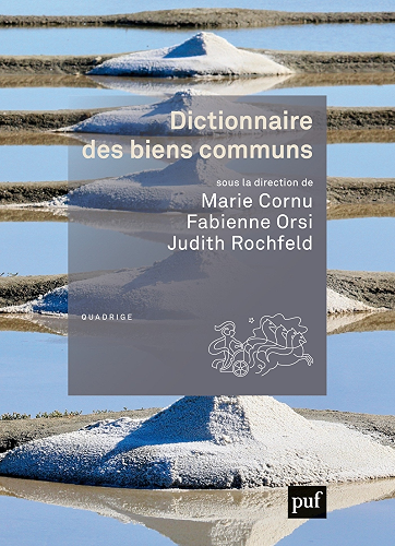 Download Dictionnaire des biens communs (Quadrige) PDF