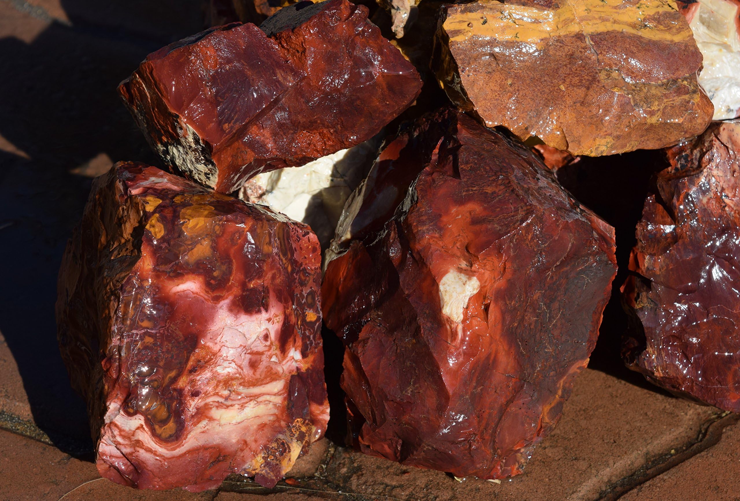 Manzanita Driftwood 5lb Red Glass Rock for Aquariums