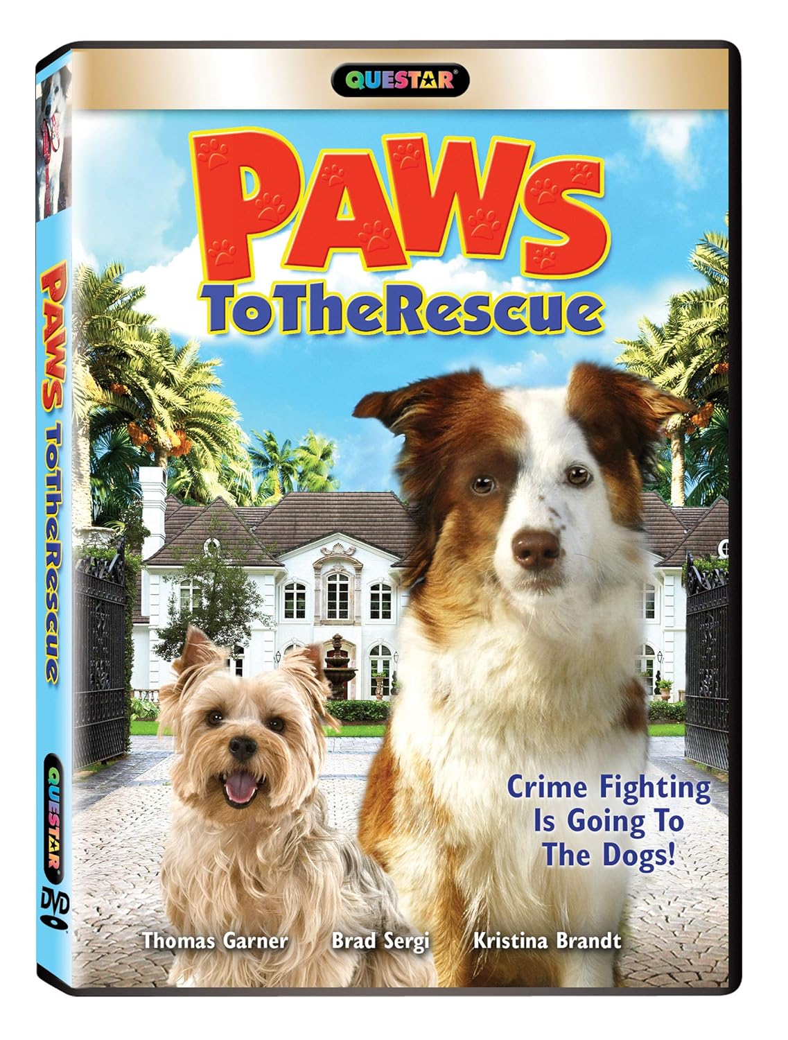 paws to rescue
