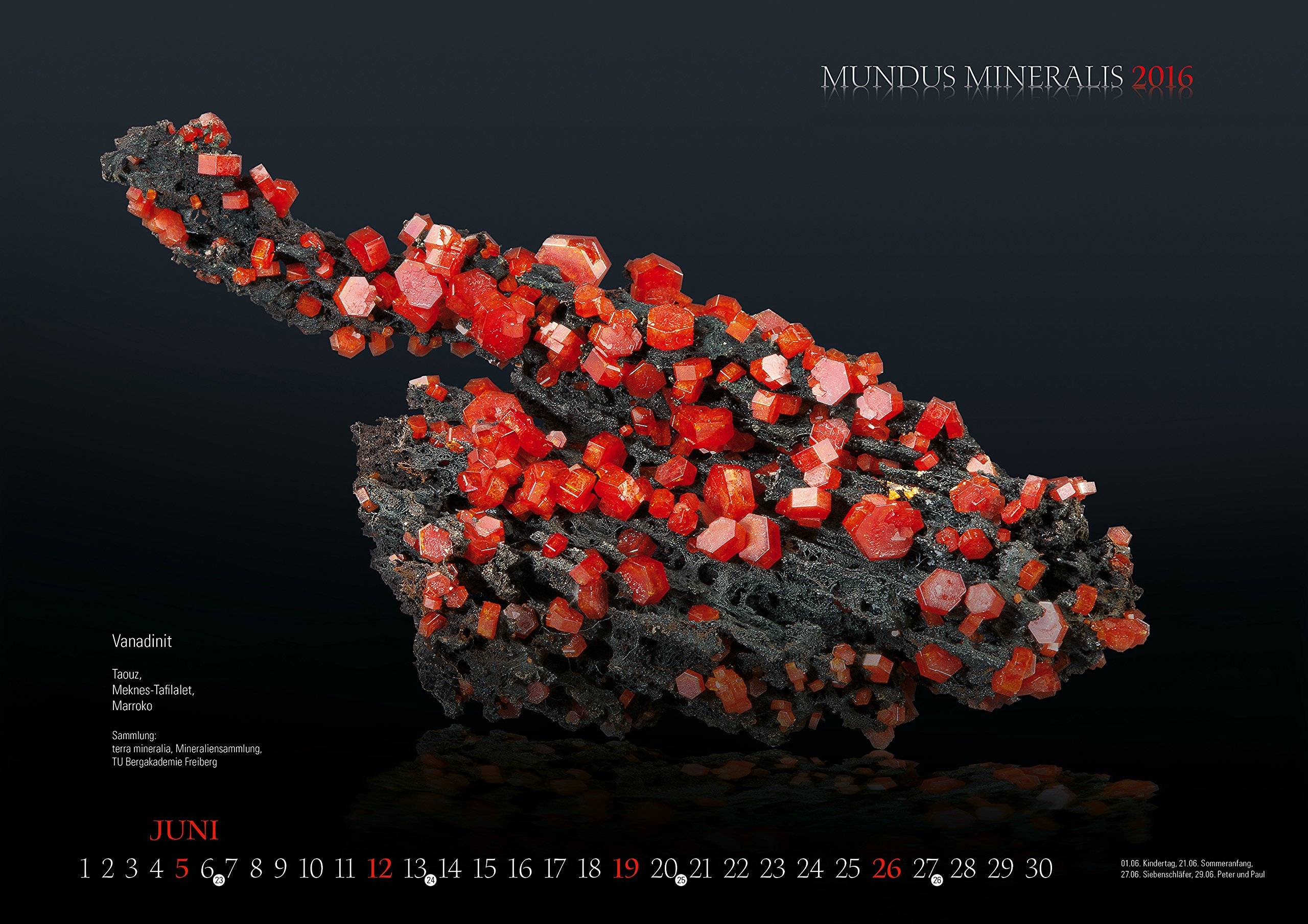 Mundus Mineralis 2016 9783957560162 Amazon Com Books