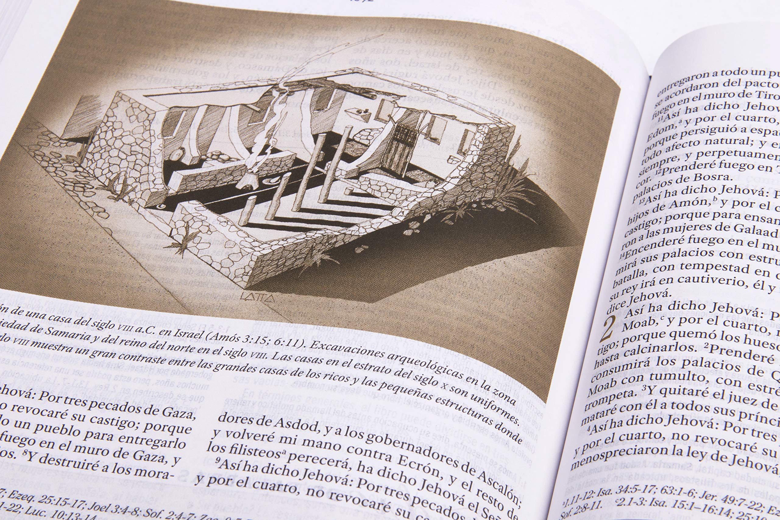 Biblia Reina Valera 1960 de Estudio para Mujeres, Tapa dura | RVR 1960 Women's Study Bible, Hardcover (Spanish Edition) Biblia Reina Valera 1960 de Estudio para Mujeres, Tapa dura | RVR 1960 Women's Study Bible, Hardcover (Spanish Edition) Hardcover