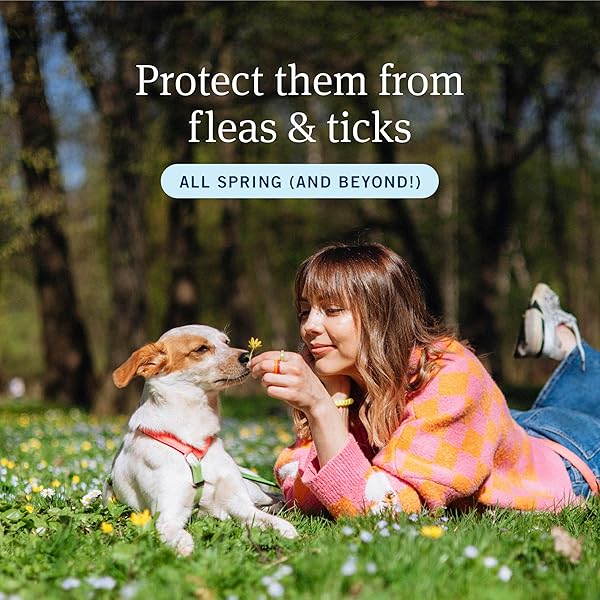 PETARMOR PLUS FLEA AND TICK PREVENTION FOR DOGS, DOG FLEA AND TICK TREATMENT, 1 DOSE, WATERPROOF TOPICAL, FAST ACTING, X-LARGE DOGS (89-132 LBS)