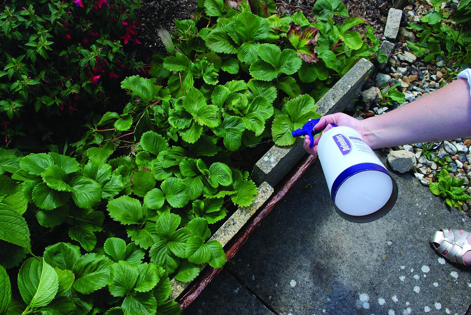 Defenders® All Ways Home & Garden Sprayer Bottle - 1 Litre, Clear, 1 Litre - Standard - Image 3