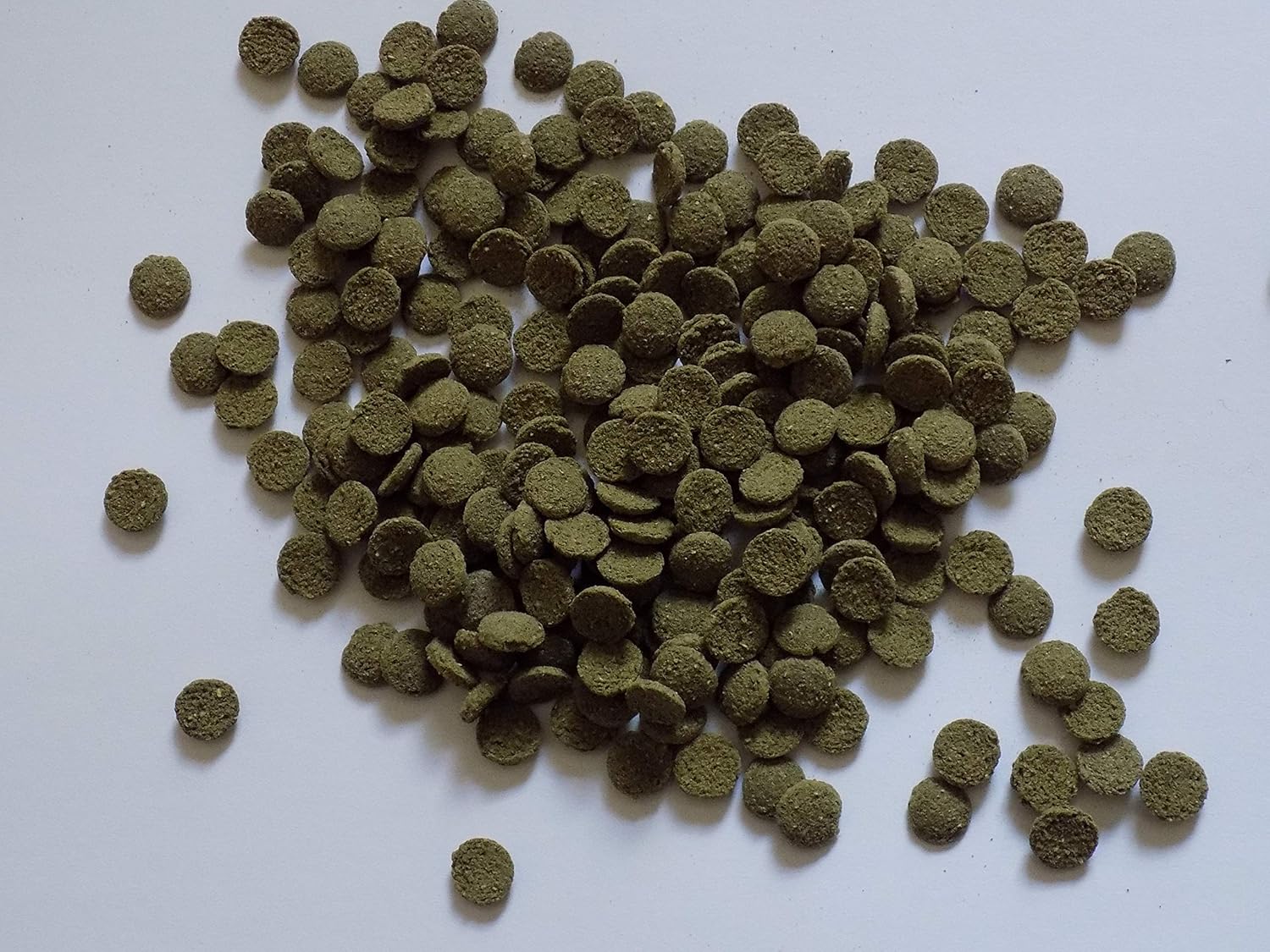 Koidivision Spirulina Algae Wafer Tablet 100gram 5kg Mini 6mm