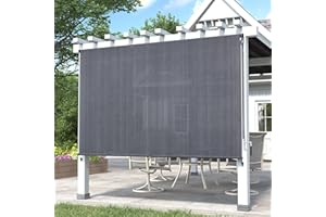 DIFY 9 * 8FT Outdoor Roller Shade, Cordless Patio Roller Up Blinds for Yard Deck Porch, Wand Crank Operation, Anthracite