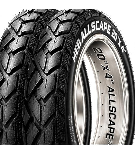 Amazon.com : Vee Tire 20x4.0 White Wall Bike Tire. Speedster E