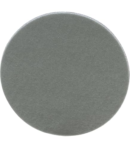 Amazon.com: 3M Trizact Hookit Foam Disc, 02087, 3 in, P3000, 15