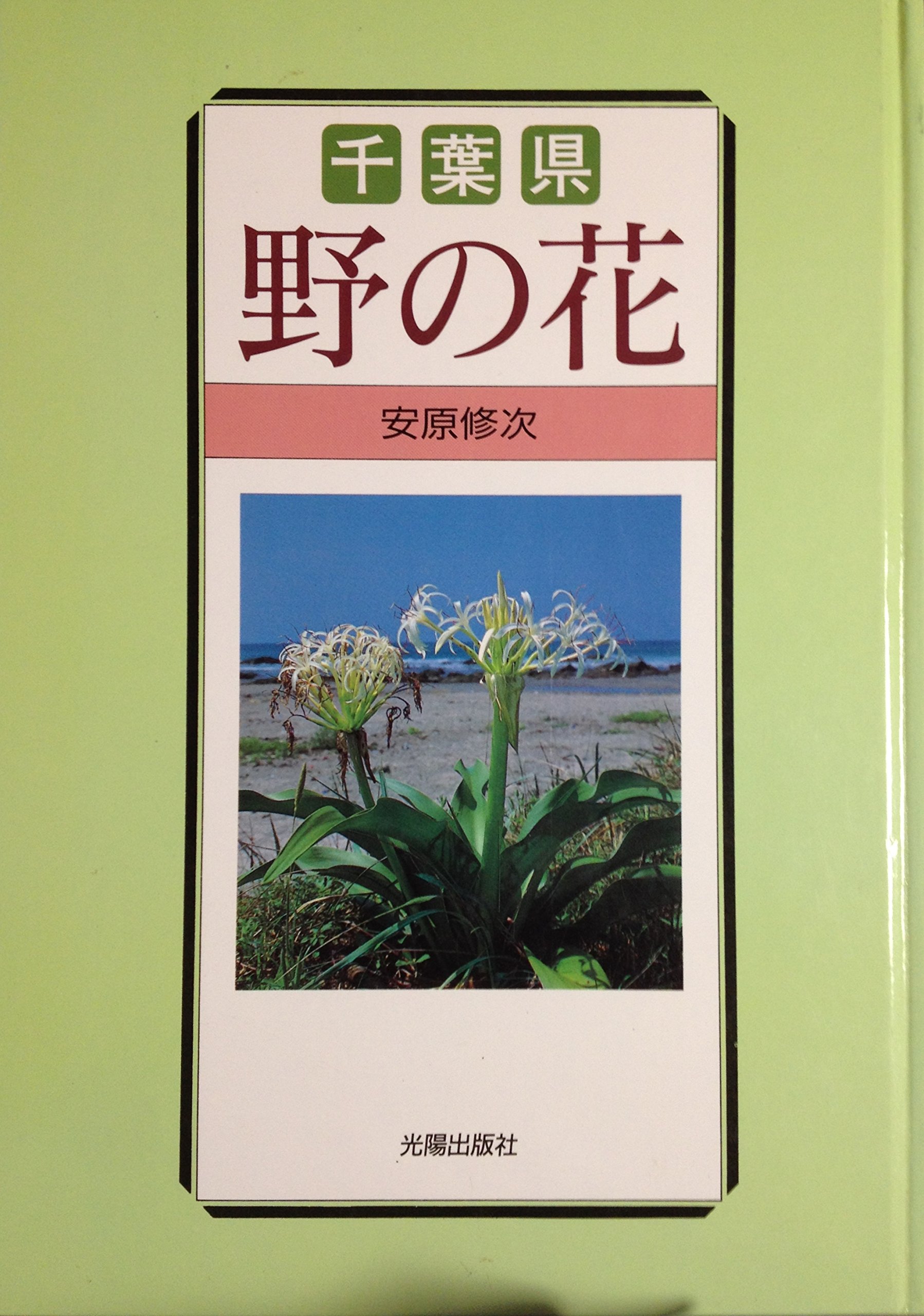 千葉県野の花 修次 安原 本 通販 Amazon