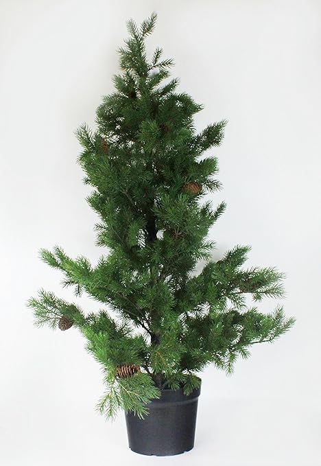 Albero Di Natale Con Pigne.Albero Di Natale Con Pigne Pianta Artificiale 120 Cm Amazon It Casa E Cucina