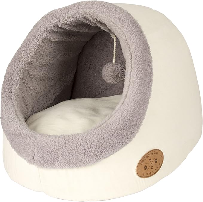kitten beds amazon