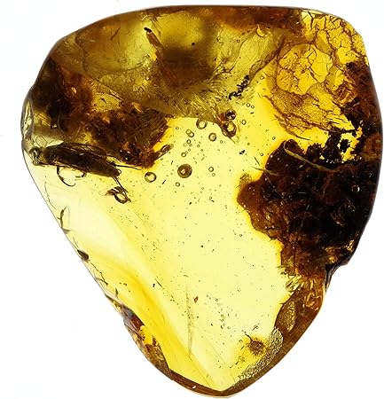 Amazon N2 Stone Natural 天然樹脂の化石 虫入り琥珀 コハク Amber 3 一点物 タマバエ 不明なハチ 約24x22x5mm 1 4g 採取地 ポーランド バルト海 化石 発掘 おもちゃ