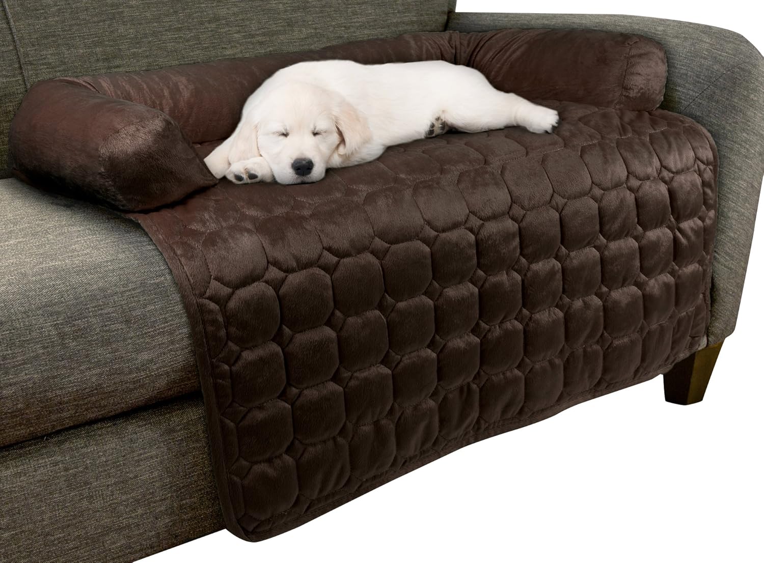Best furniture protection from dogs