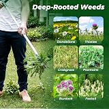 Walensee Stand Up Weeder Tool, 39" Long Handle with 3 Claws view 7