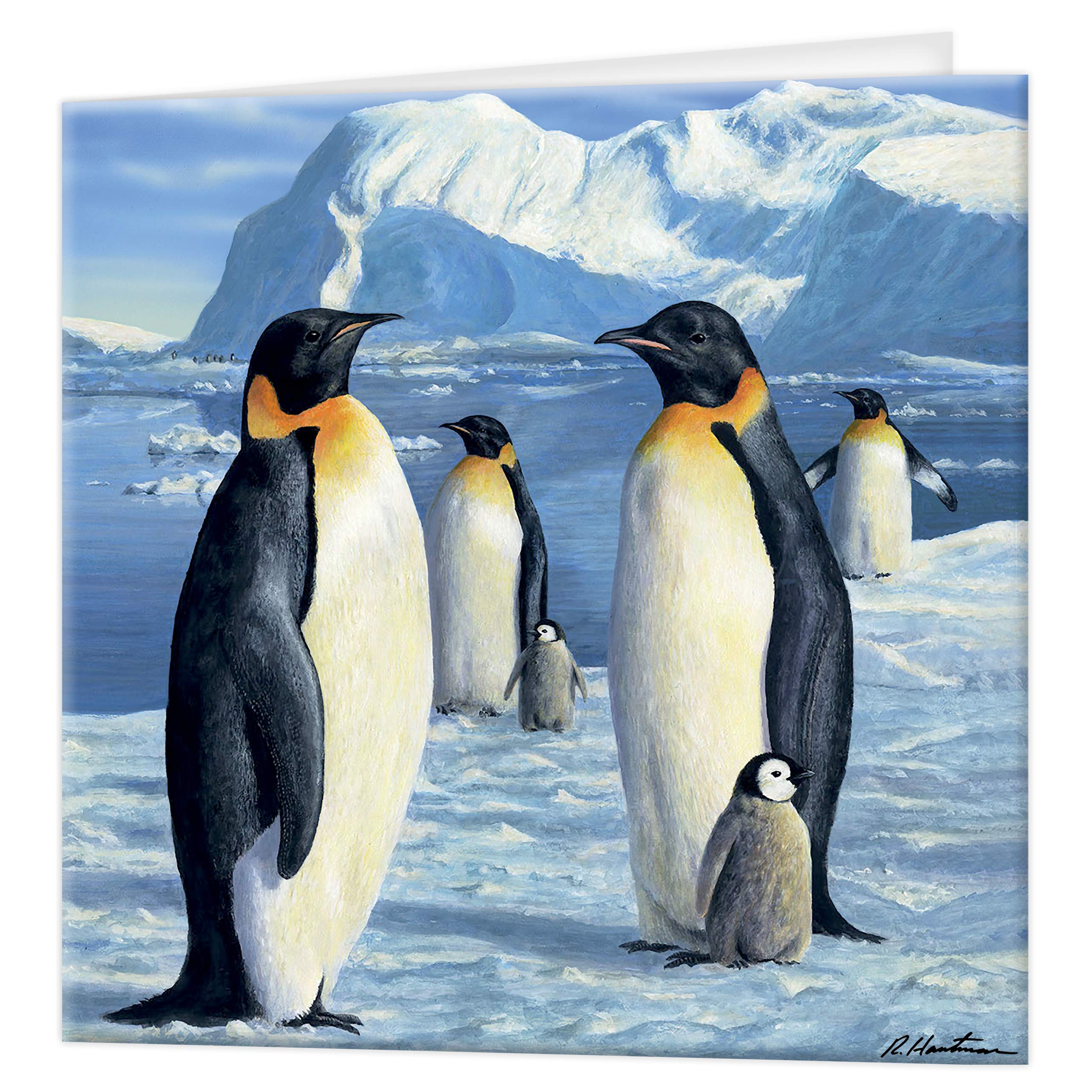 3D LiveLife Greeting Card - Antarctic Majesty from Deluxebase. Blank Card with Lenticular 3D Image and Envelope. Unique Notecard for All Occasions and Premium Stationery Sets.