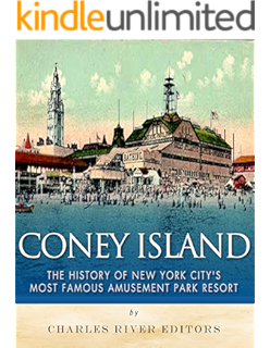 Amazon Com Amusing The Million Coney Island At The Turn Of The