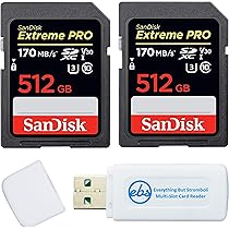SanDisk Extreme PRO SDXC UHS-I Card 512G 61C6gQC2+RL._UF1000,1000_QL80_.jpg