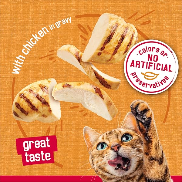 PURINA FRISKIES PRIME FILETS WITH CHICKEN IN WET CAT FOOD GRAVY – (PACK OF 24) 5.5 OZ. CANS