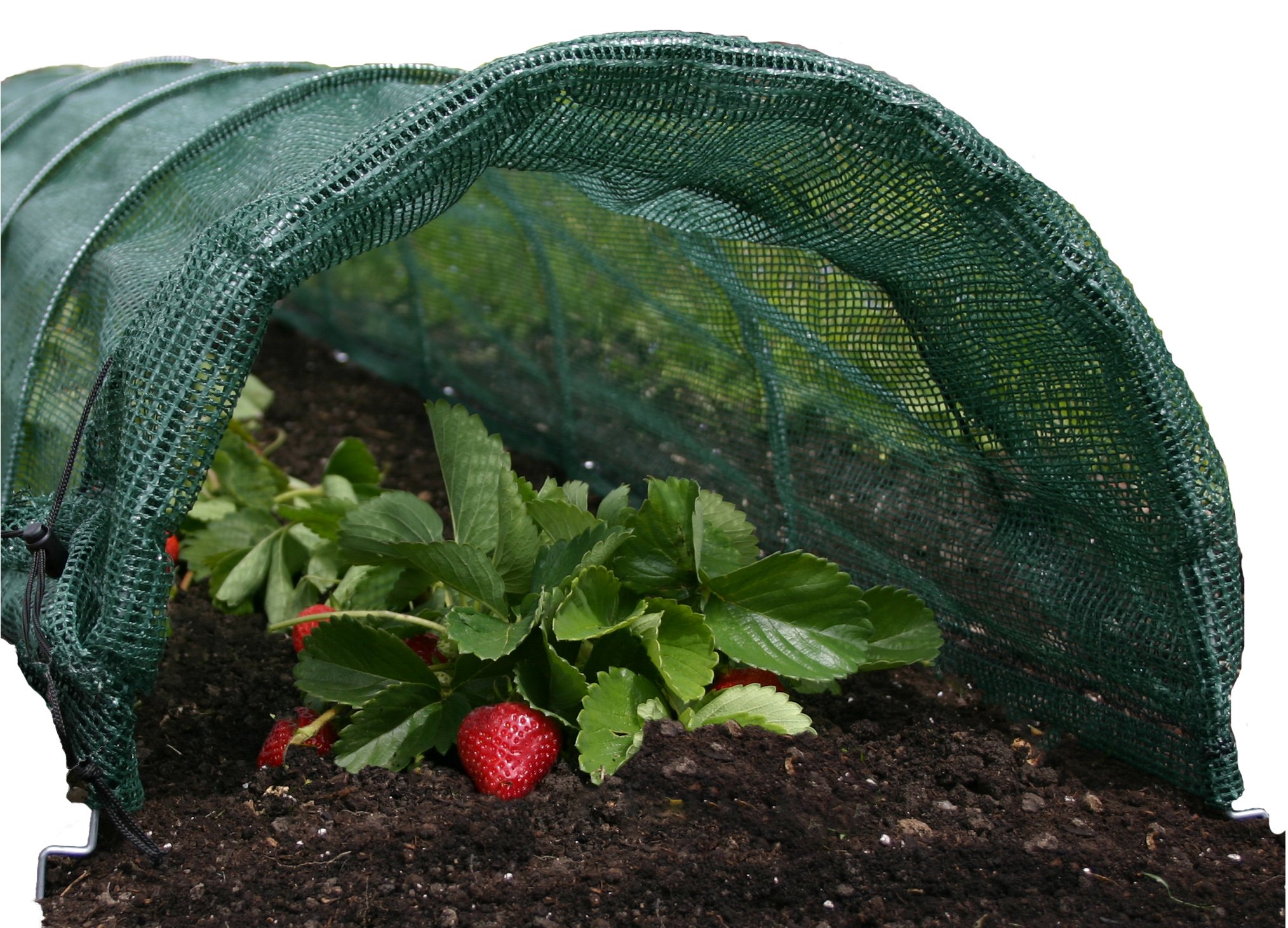 Bosmere L841 Shade Net Tunnel Plant Row Cover, 10Feet 721082128412 eBay