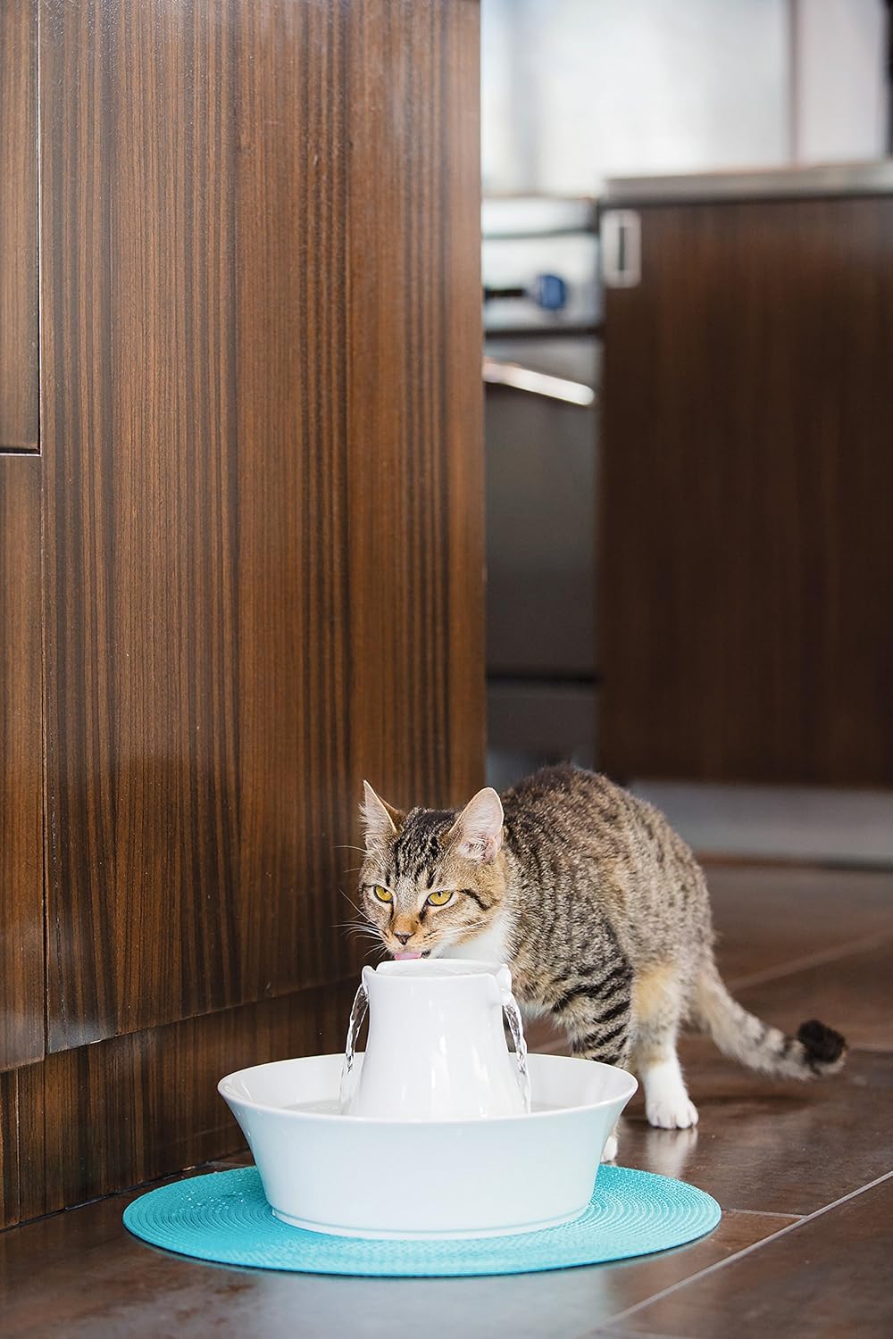מוצרים לחיית מחמד PetSafe Drinkwell Avalon Pet Water Fountain