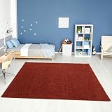 THE RUGS Living Room Rug Shaggy 30mm Thick 140x200 cm Terra Colour view 2