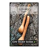 Sow Right Seeds - Dipper Gourd Seeds for Planting